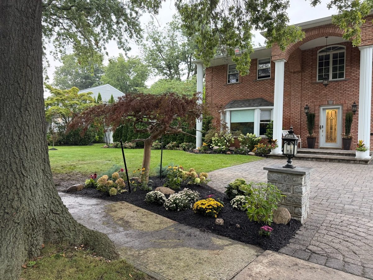 Front beds after Japanese maples and plantings installed
