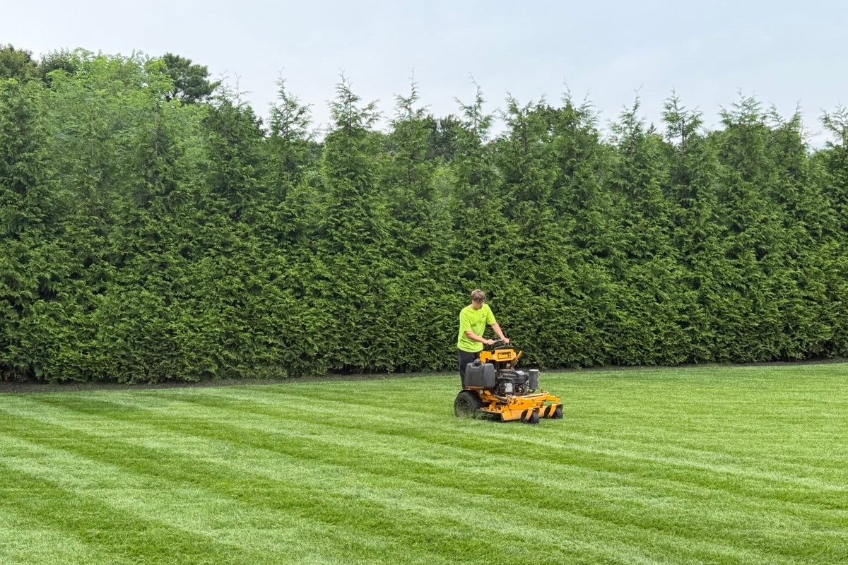 Gladiator crew striping a lawn in Greenlawn Huntington NY