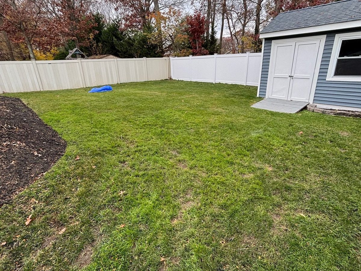 Same backyard clean after leaf removal