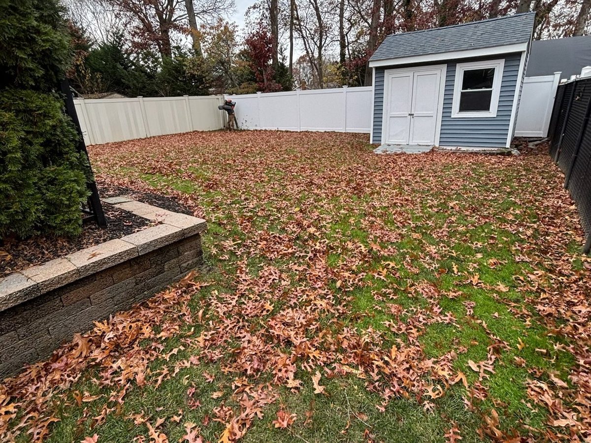 Backyard covered in fall leaves before cleanup