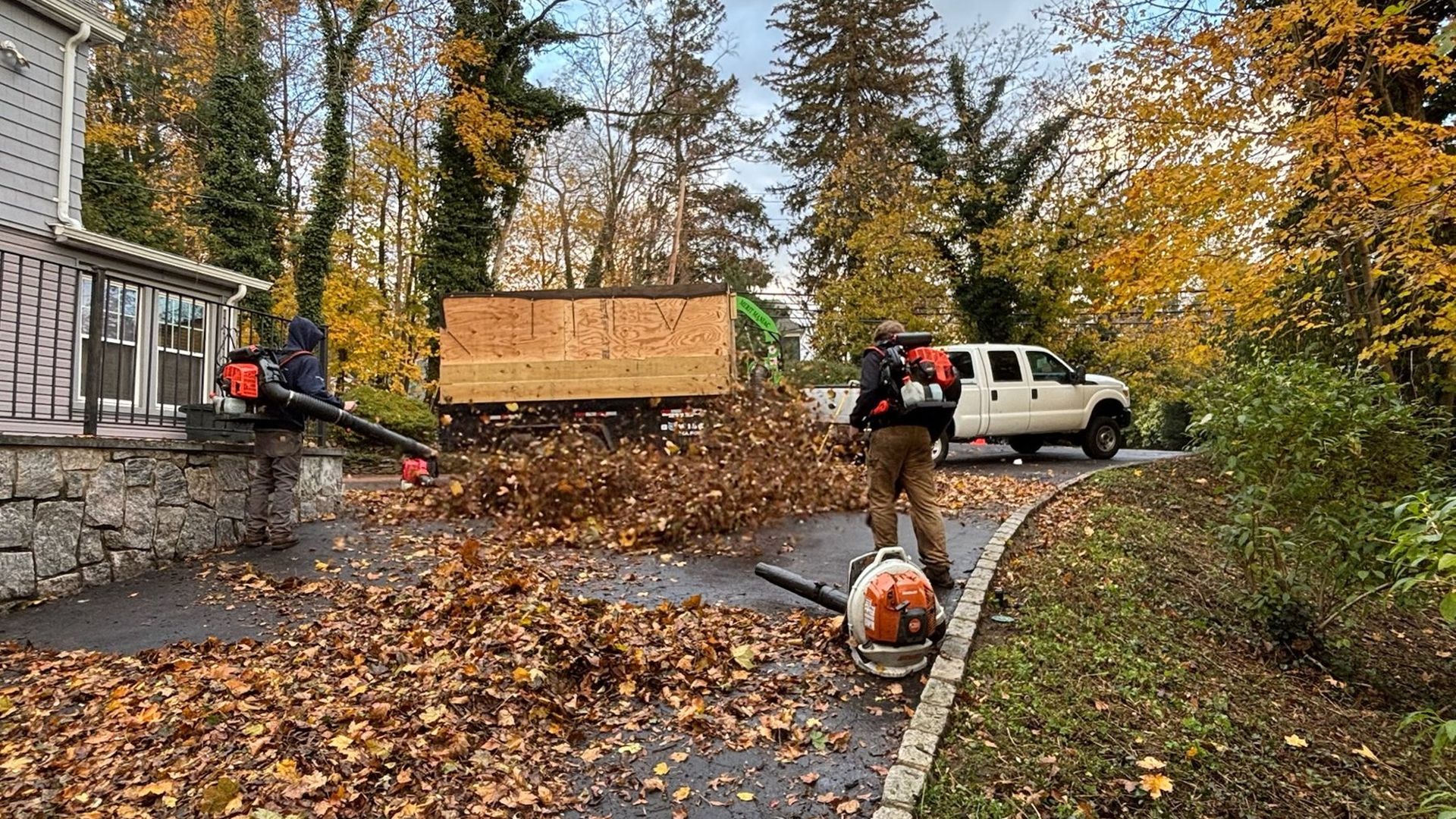 Fall leaf cleanup with blowers and leaf truck on a Long Island driveway