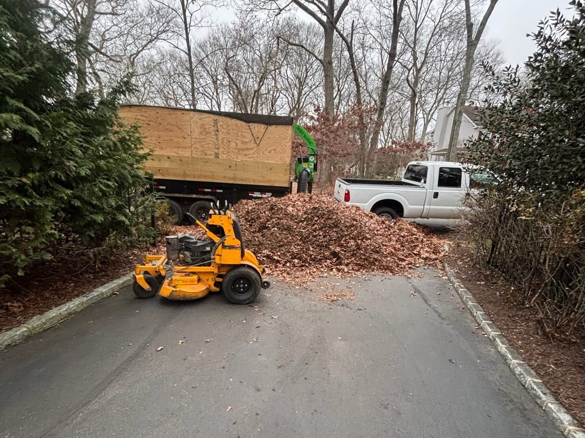 Leaf pile loaded into the truck