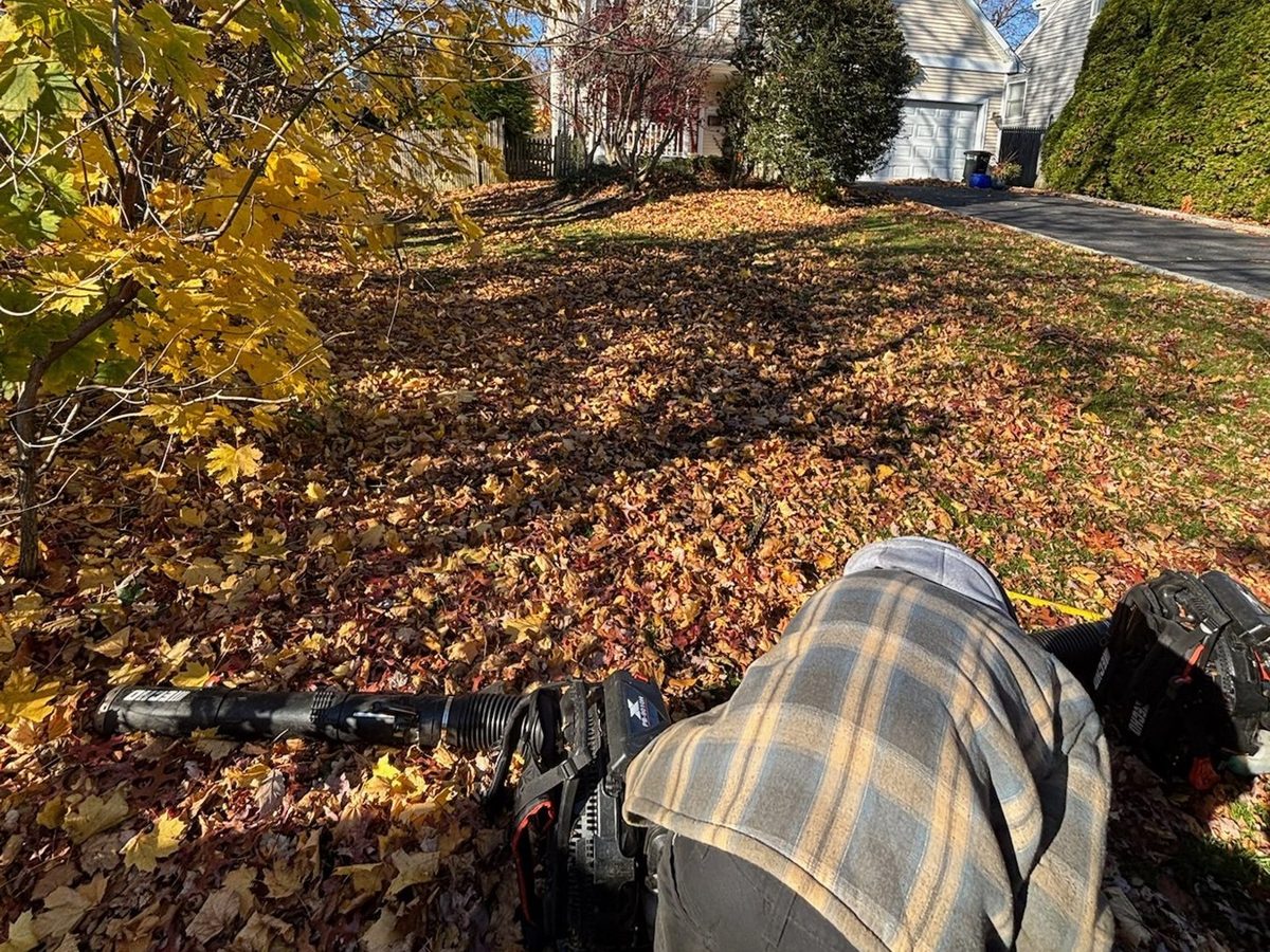 Crew raking leaves out of the beds