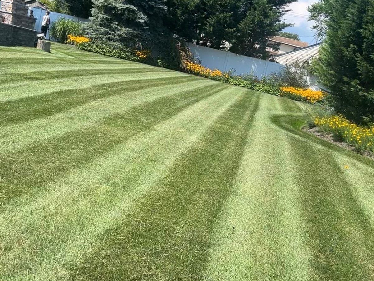 Freshly striped lawn