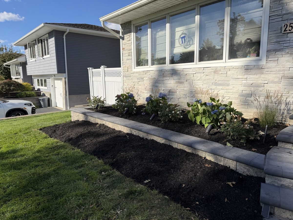 Same planter bed finished with fresh black mulch and hydrangeas