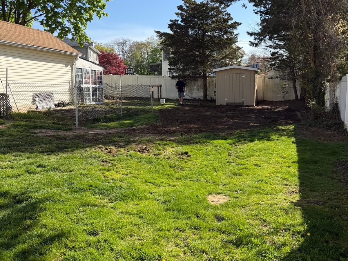 Thin, patchy backyard lawn before renovation