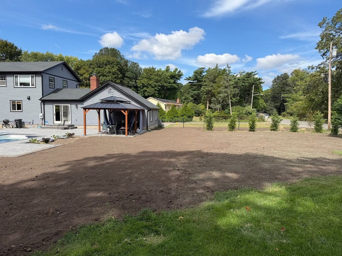 Backyard graded and seeded