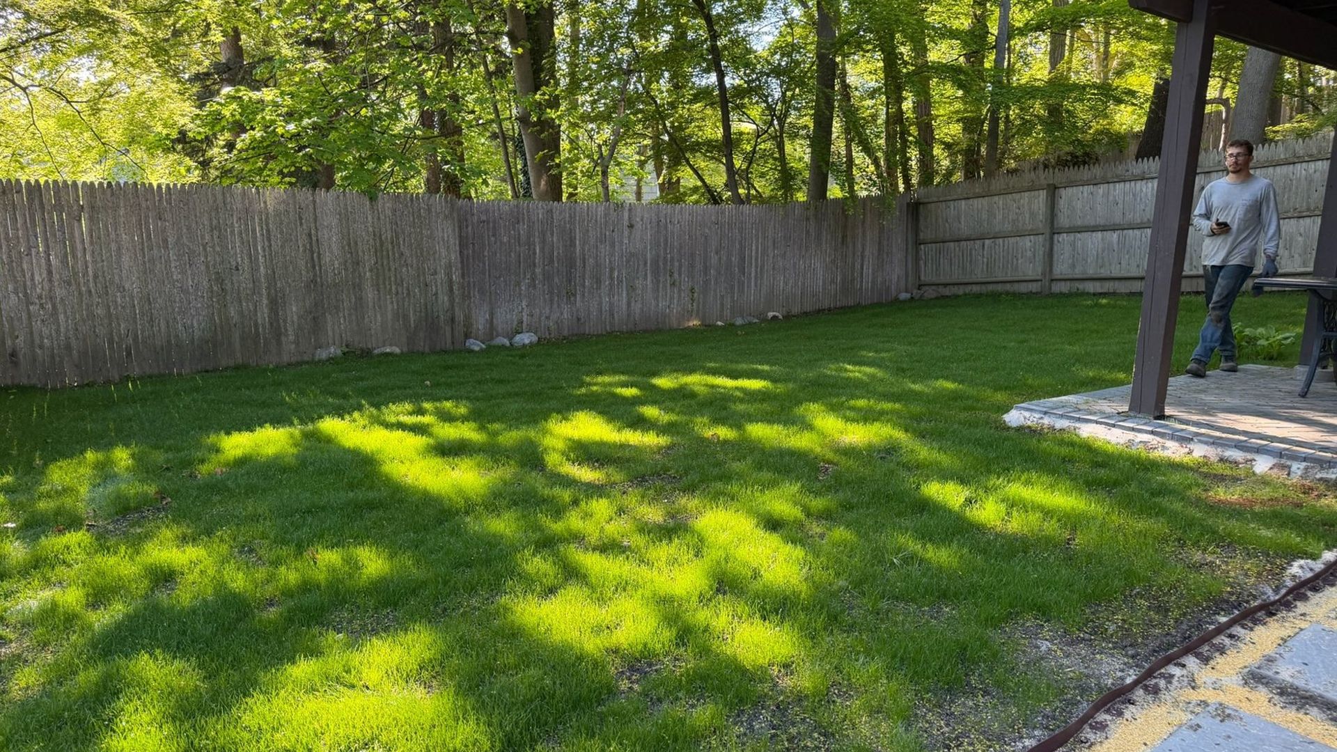 New lawn coming in after topsoil and seed